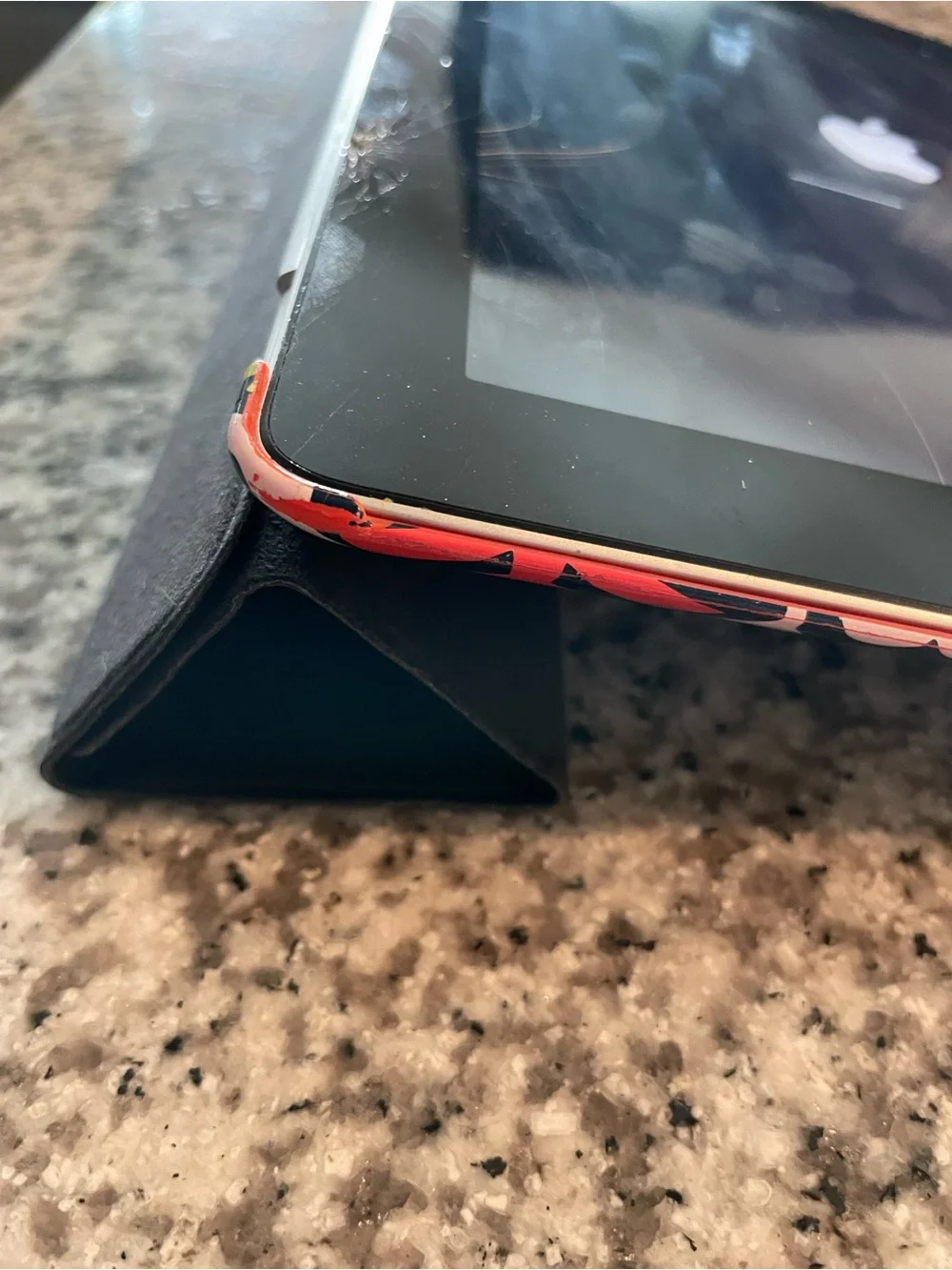 Apple iPad with Charger